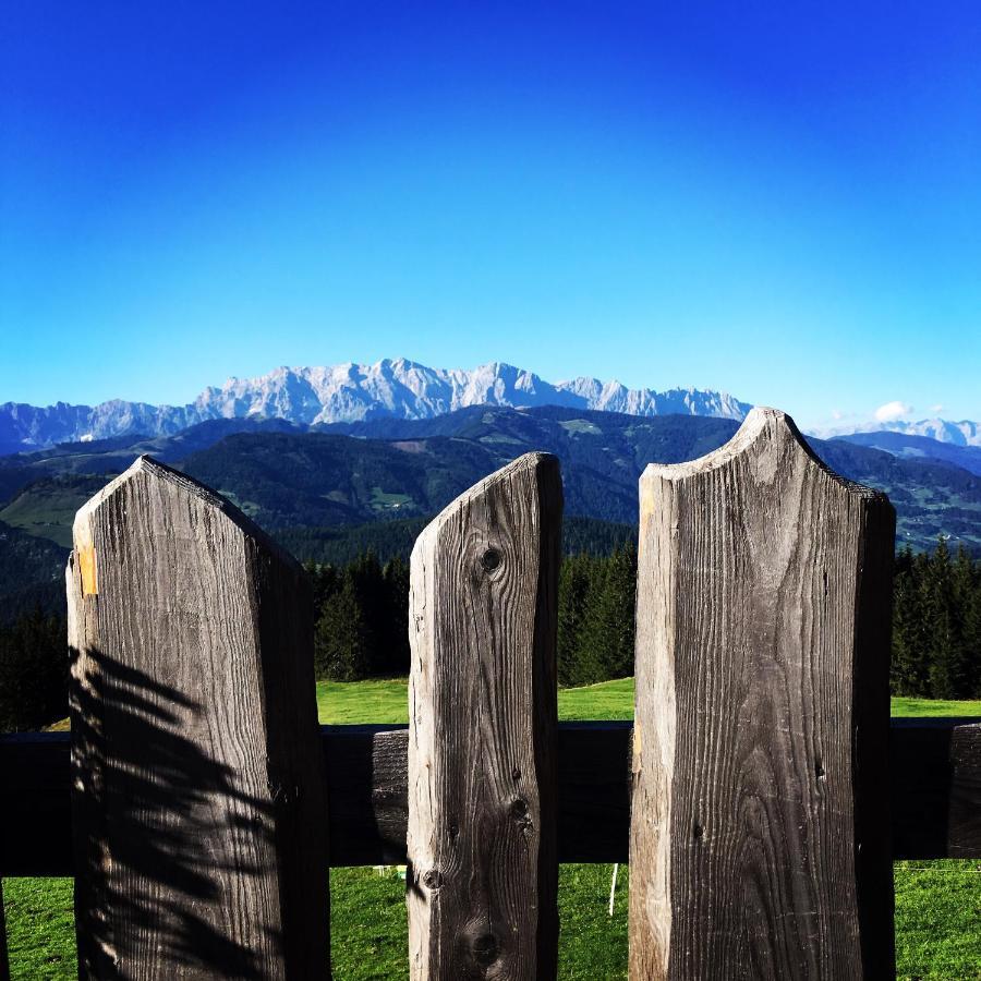Chalet Franzi - Das Family-Ferienhaus Mit Gratiseintritt Ins Solarbad ドルフガシュタイン エクステリア 写真