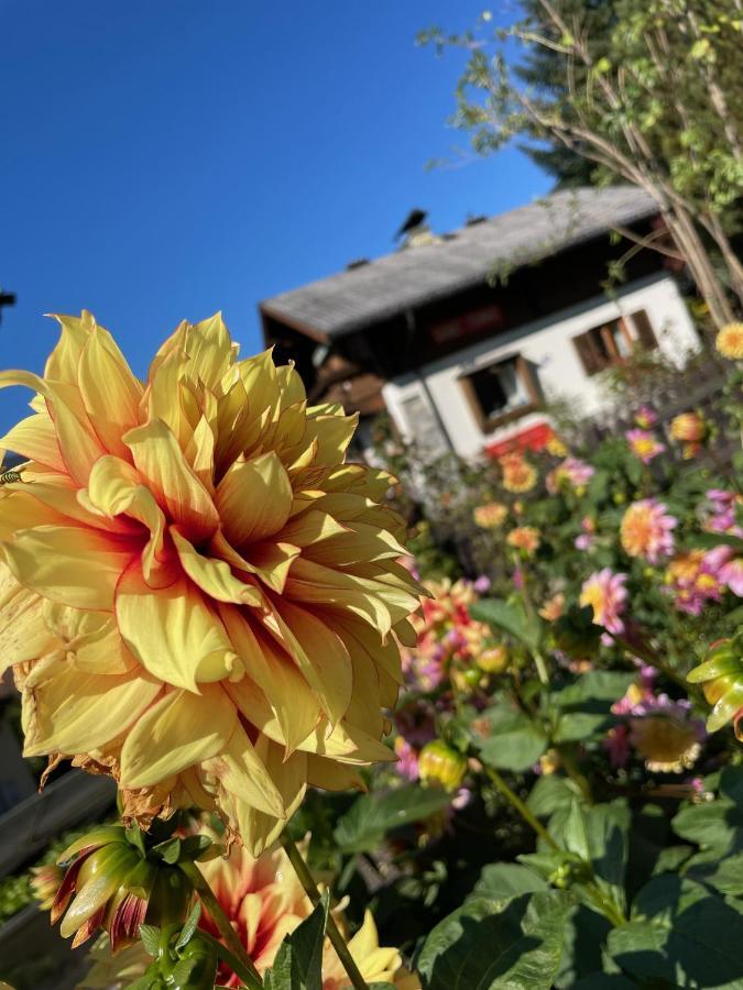 Chalet Franzi - Das Family-Ferienhaus Mit Gratiseintritt Ins Solarbad ドルフガシュタイン エクステリア 写真