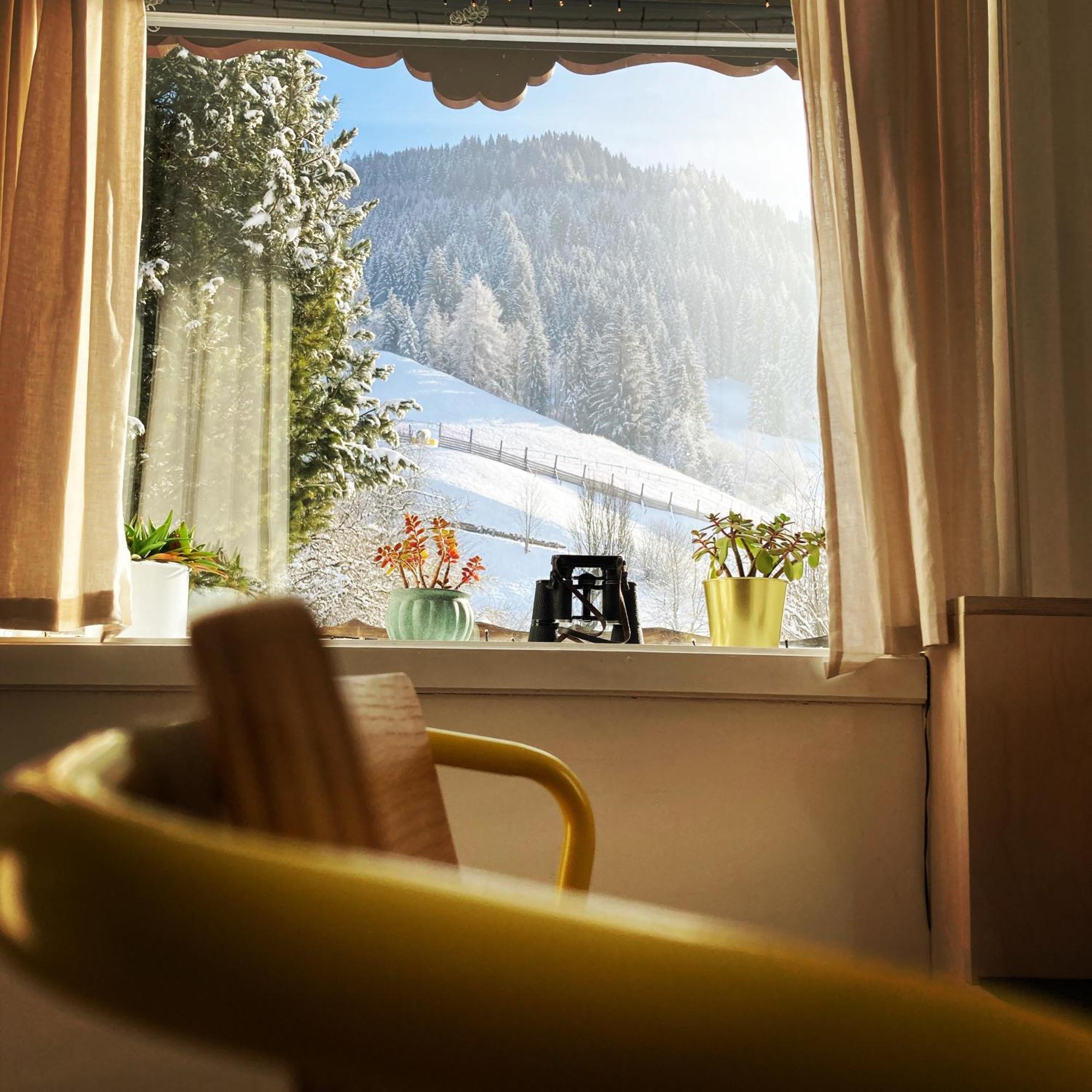 Chalet Franzi - Das Family-Ferienhaus Mit Gratiseintritt Ins Solarbad ドルフガシュタイン エクステリア 写真