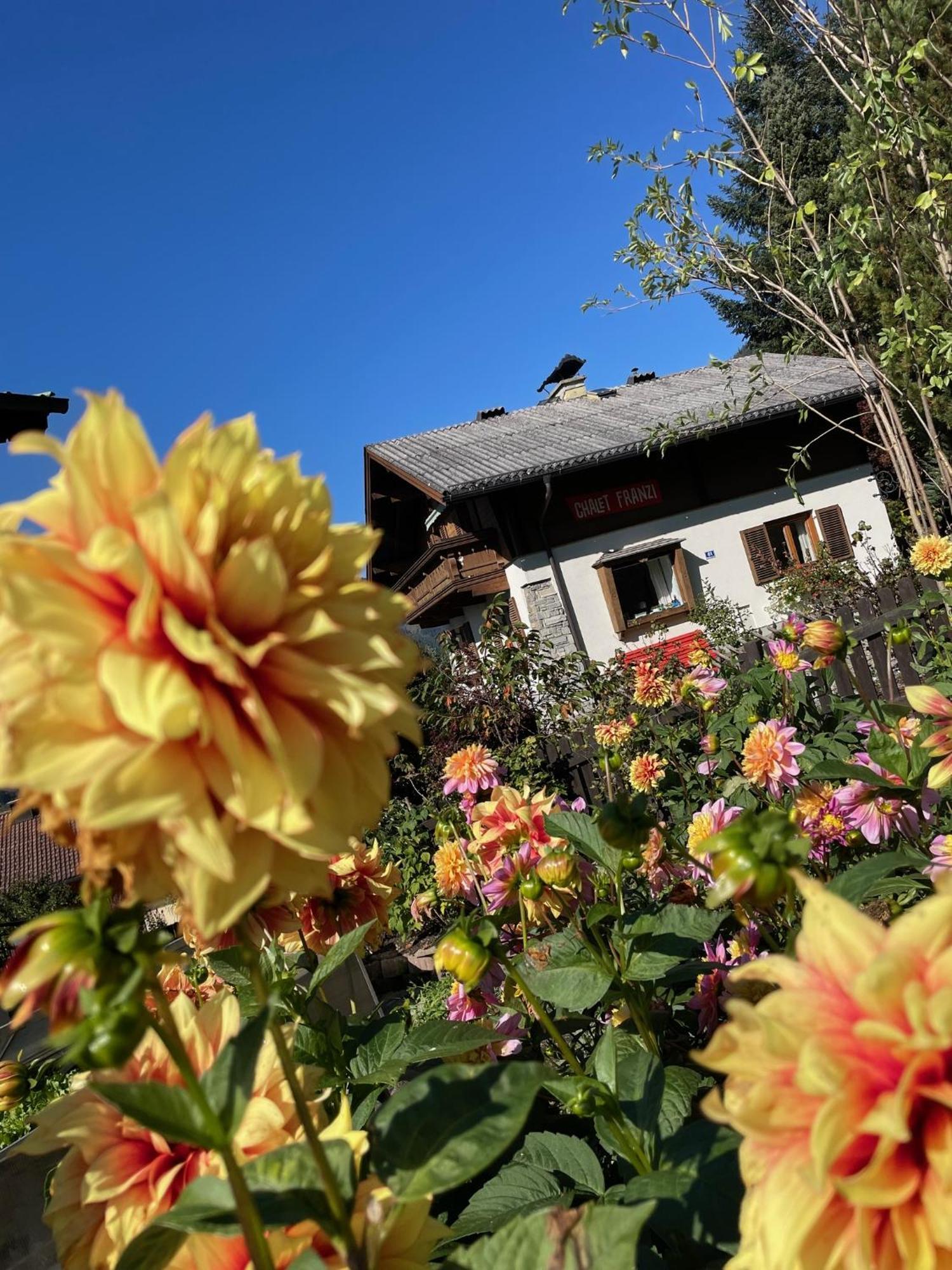 Chalet Franzi - Das Family-Ferienhaus Mit Gratiseintritt Ins Solarbad ドルフガシュタイン エクステリア 写真